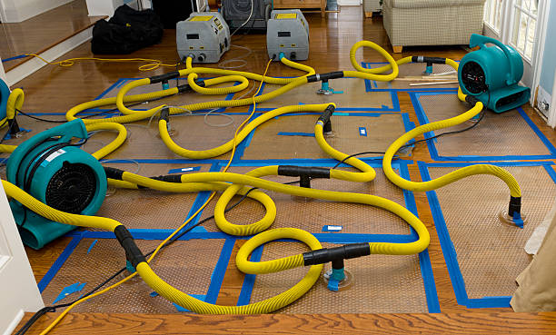 Professional Flood Damage Restoration technician working in Audubon, MN